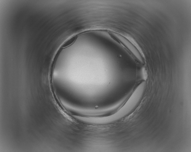 X0000074041197200609061159