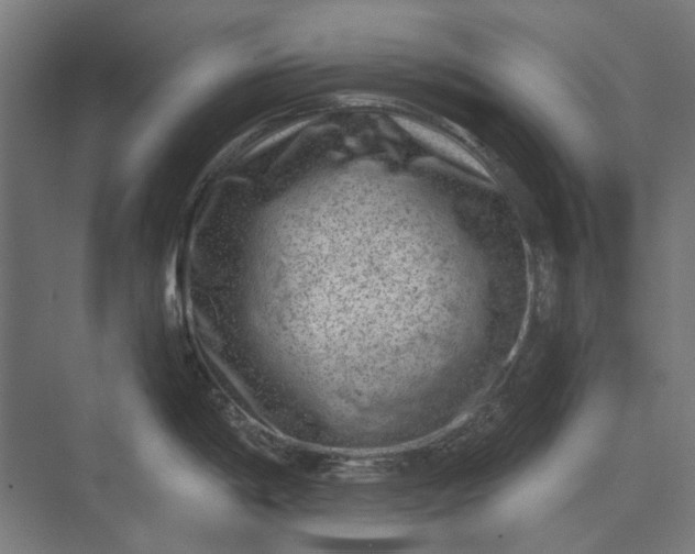 X0000074041198200609061159