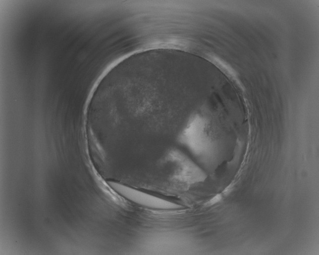 X0000074041200200609061159