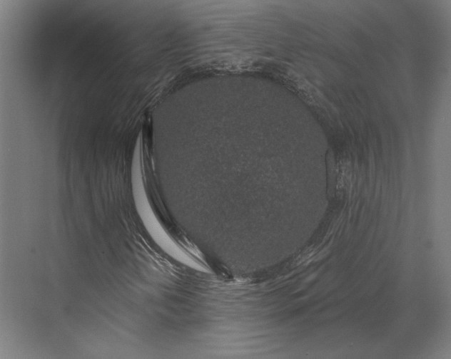 X0000074041202200609061158