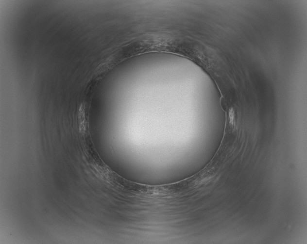 X0000074041203200609061158