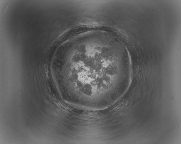 X0000074041205200609061159