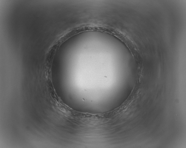 X0000074041207200609061159