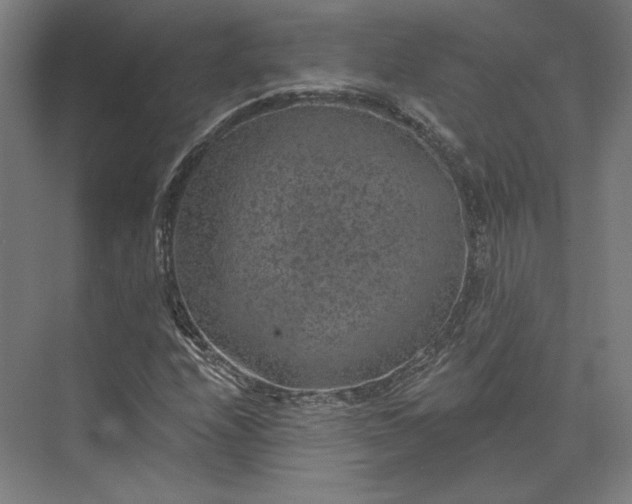 X0000074041208200609061159