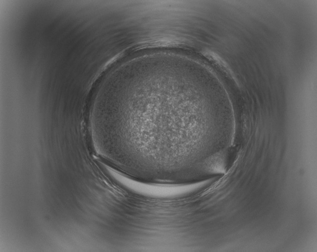 X0000074041210200609061159