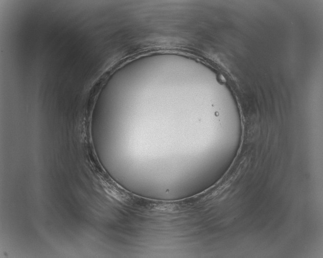 X0000074041211200609061159