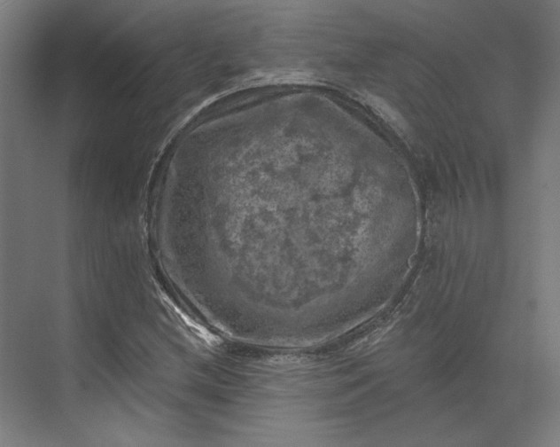 X0000074041212200609061159