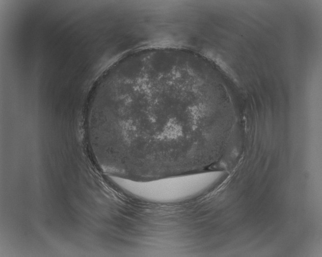 X0000074041213200609061159