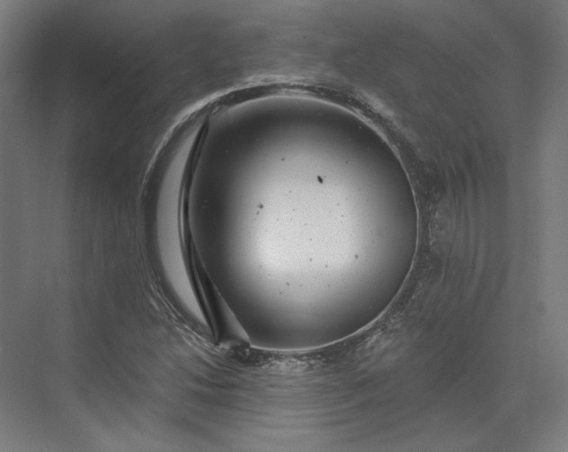 X0000074041214200609061159