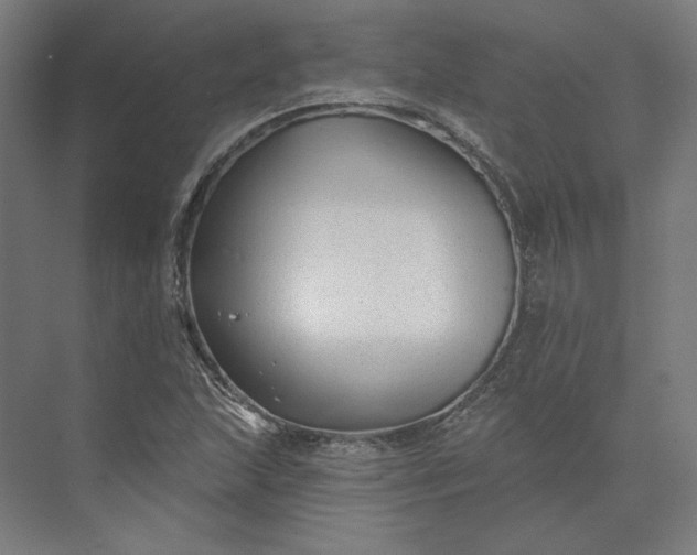 X0000074041215200609061159