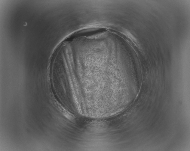 X0000074041216200609061159