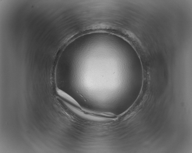 X0000074041217200609061159