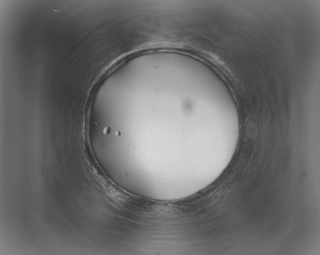 X0000074041220200609061159