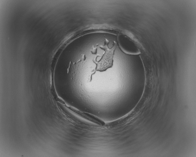 X0000074041221200609061159