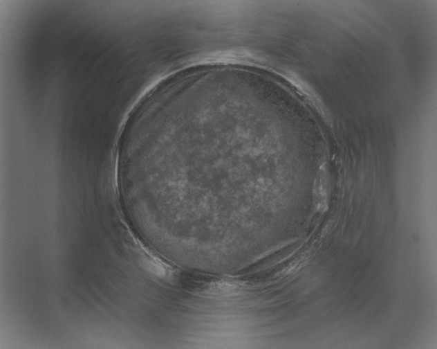 X0000074041224200609061159