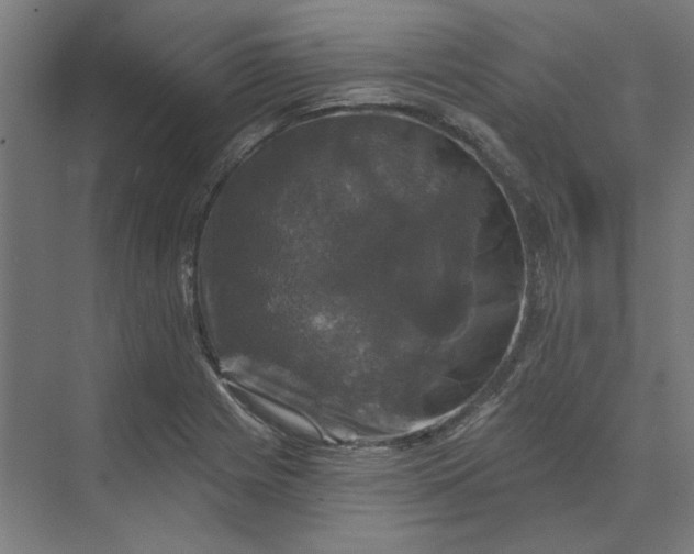 X0000074041225200609061159