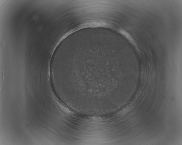 X0000074041226200609061159