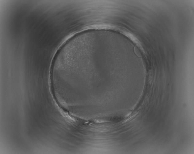 X0000074041229200609061159