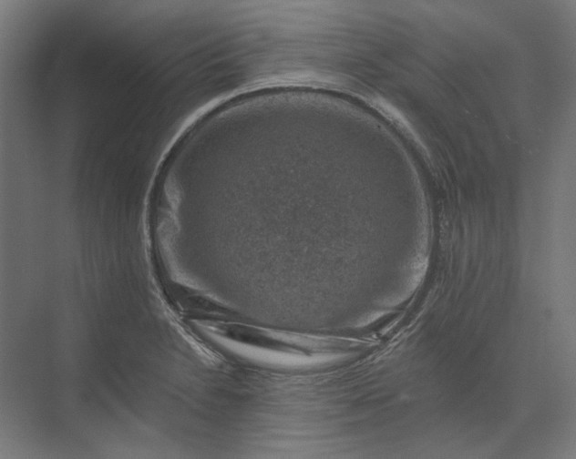 X0000074041230200609061159