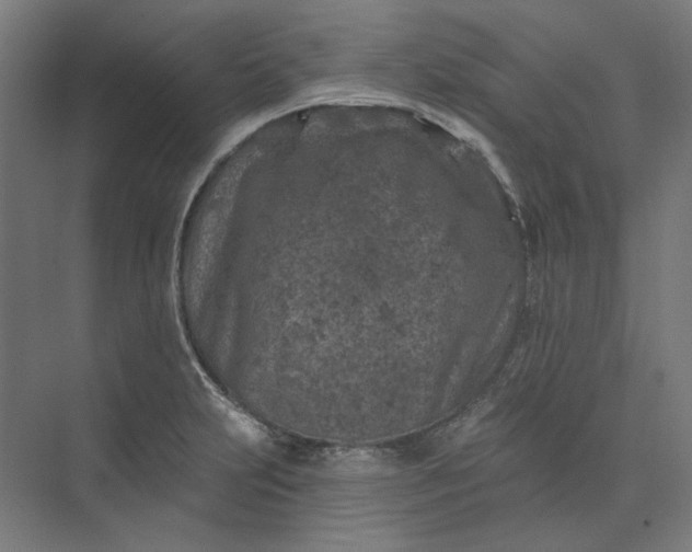 X0000074041231200609061159