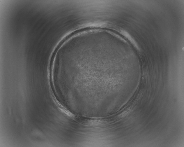 X0000074041232200609061159