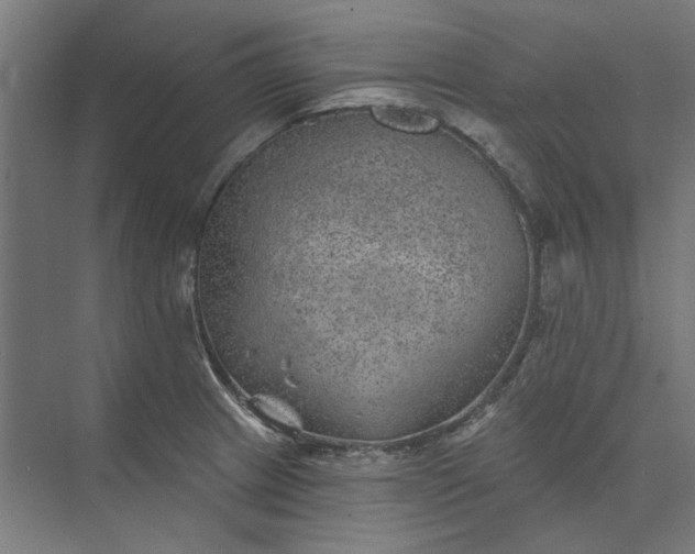 X0000074041233200609061159