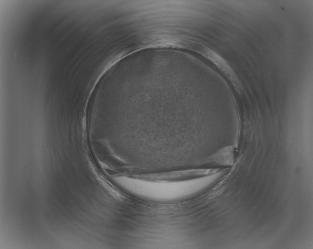 X0000074041234200609061159