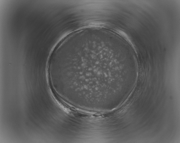 X0000074041235200609061159