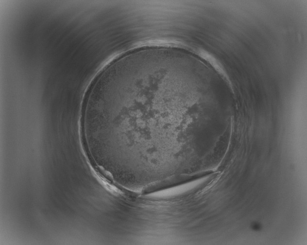 X0000074041237200609061159