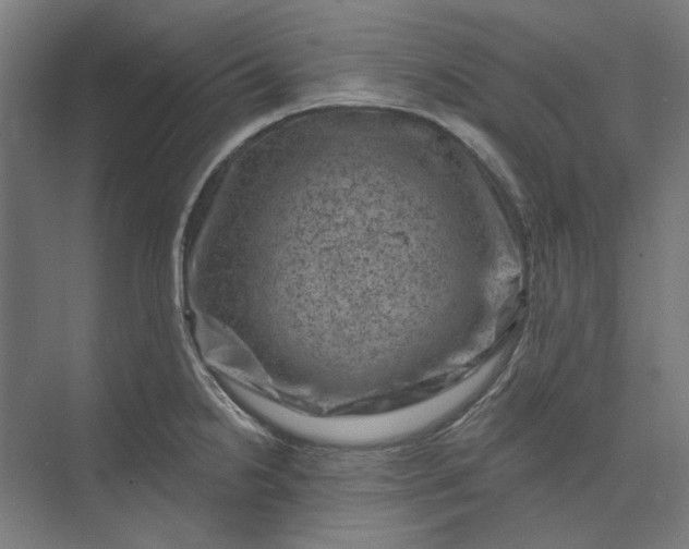 X0000074041238200609061159