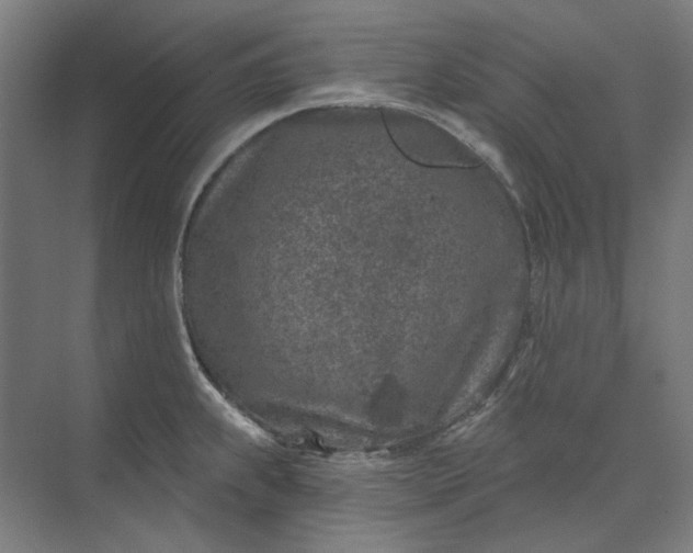 X0000074041239200609061159