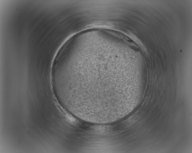 X0000074041240200609061159