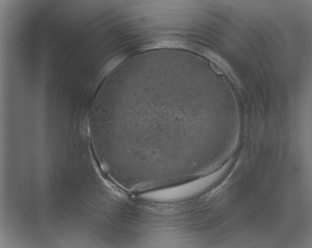 X0000074041241200609061159