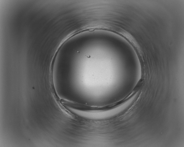 X0000074041242200609061159