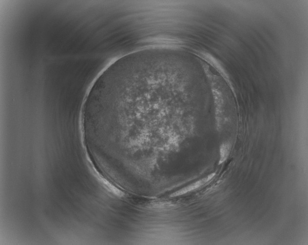 X0000074041243200609061159