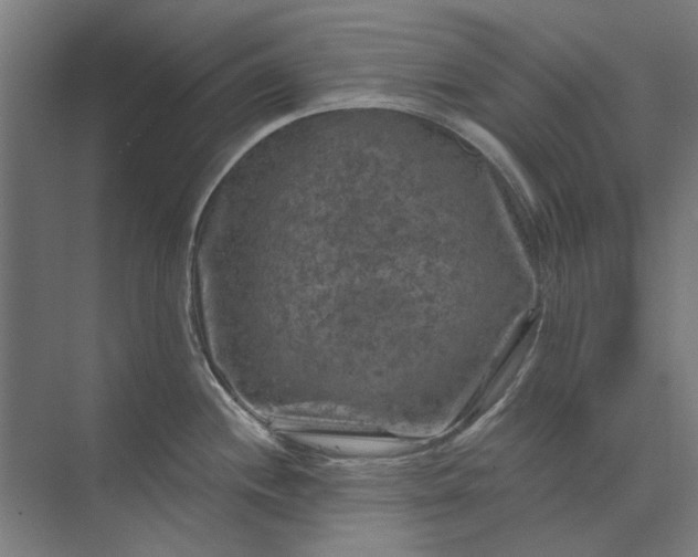 X0000074041244200609061159