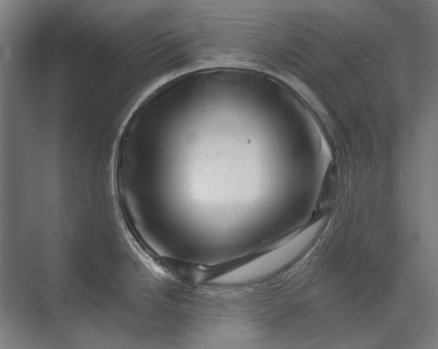 X0000074041246200609061159