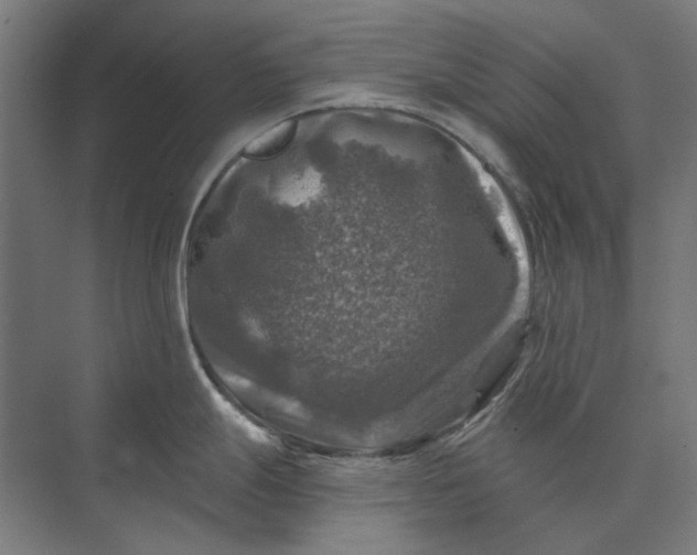 X0000074041247200609061159