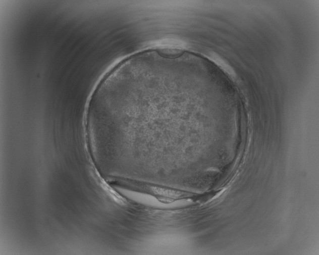 X0000074041248200609061159