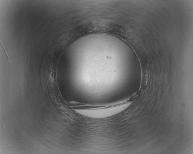 X0000074041250200609061158