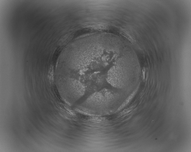 X0000074041251200609061158