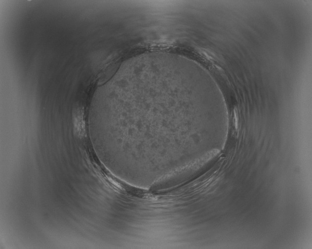 X0000074041252200609061158