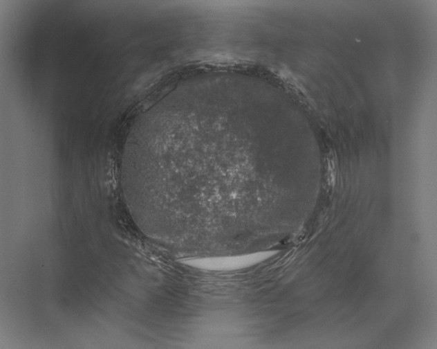 X0000074041253200609061158