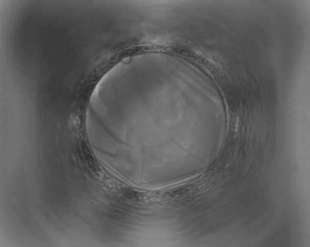 X0000074041254200609061158