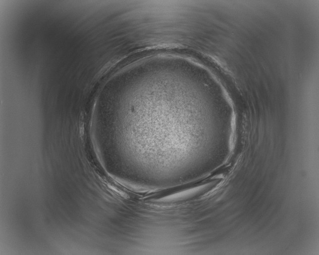 X0000074041257200609061158