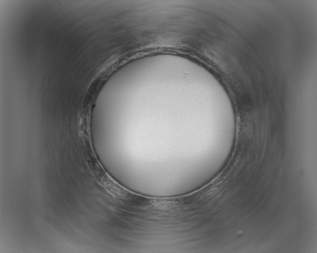 X0000074041258200609061158