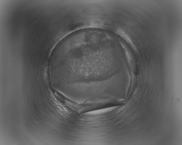 X0000074041260200609061158