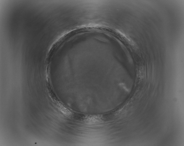 X0000074041262200609061158