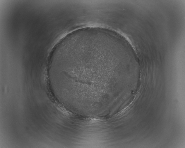 X0000074041263200609061158