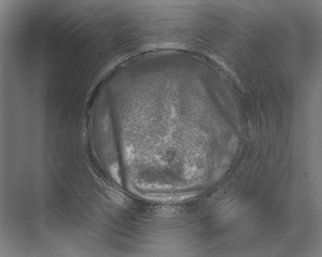 X0000074041266200609061158